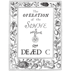 Dead C Operation Of The Sonne VINYL LP
