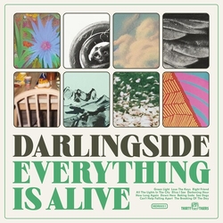 Darlingside Everything Is Alive VINYL LP