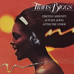 Travis Biggs Tibetian Serenity Autumn Jewel VINYL 12INCH