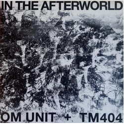 Om Unit / TM404 In The Afterworld Vinyl LP