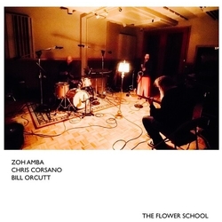 Amba,Zoh Corsano,Chris Orcutt,Bill Flower School vinyl LP