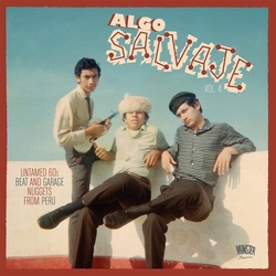 Algo Salvaje Untamed 60S Beat & Garage 4 Var Algo Salvaje Untamed 60S Beat & Garage 4 Var vinyl LP