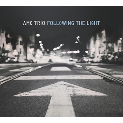 Amc Trio Following The Light VINYL LP