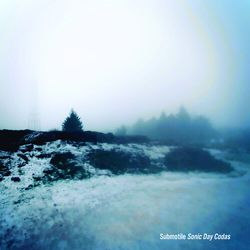 Submotile Sonic Day Codas VINYL LP