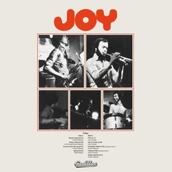 Joy Joy VINYL LP