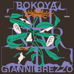 Bokoya Brezzo,Gianni Minari vinyl LP