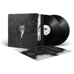 Bees Made Honey In The Vein Tree Aion VINYL LP