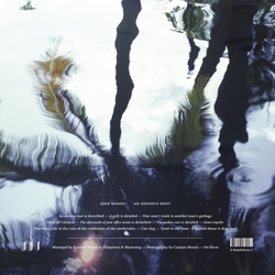 Josh Mason An Anxious Host vinyl LP