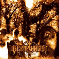 Necrophagist Epitaph GOLD VINYL LP