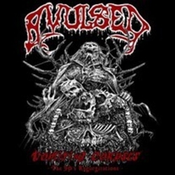 Avulsed Vomiting Corpses The 90S Regurgitations (Uk) CD