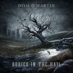 Dom Martin Buried In The Hail VINYL LP