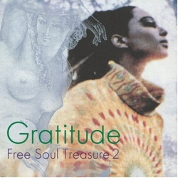 Gratitude Suburbia Meets Ultra-Vybe 2 Gratitude Suburbia Meets Ultra-Vybe 2 VINYL LP