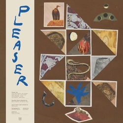 Pleaser Pleaser vinyl LP