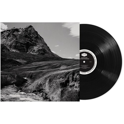 Andrew Bird Outside Problems VINYL LP