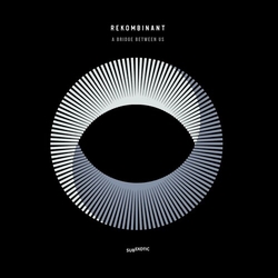 Rekombinant Bridge Between Us VINYL LP
