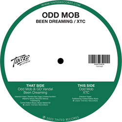 Odd Mob Been Dreaming & Xtc vinyl 12