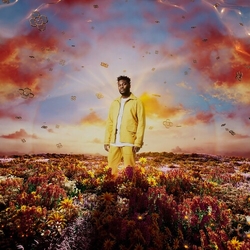 Nonso Amadi When It Blooms (Can) vinyl LP
