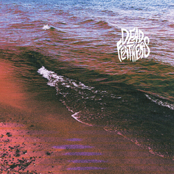 Dead Feathers Full Circle VINYL LP
