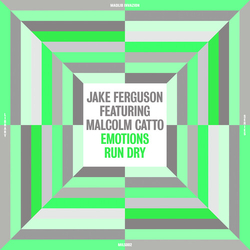 Jake Ferguson Emotions Run Dry vinyl LP