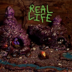 Crooks & Nannies Real Life VINYL LP