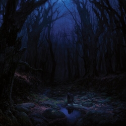 Woods Of Desolation Torn Beyond Reason (Gate) (Ltd) vinyl LP