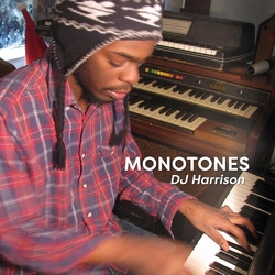 Dj Harrison Monotones VINYL LP