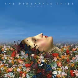 Pineapple Thief Magnolia vinyl LP