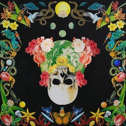 Hippie Death Cult Helichrysum VINYL LP
