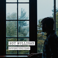 Hot Mulligan Opportunities BLUE VINYL 12INCH