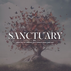 Sanctuary Vol. 1 Various Sanctuary Vol. 1 Various VINYL LP