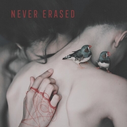 Never Erased Various Never Erased Various VINYL LP