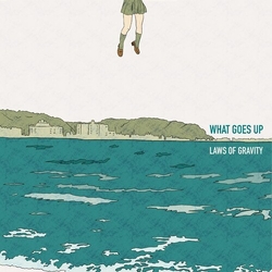 What Goes Up Laws Of Gravity VINYL LP