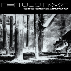 Hum Electra 2000  VINYL LP