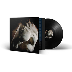 Brother Dege How To Kill A Horse VINYL LP