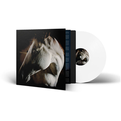 Brother Dege How To Kill A Horse WHITE VINYL LP