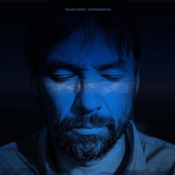 Bruce (The Pineapple Thief) Soord Luminescence vinyl LP