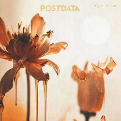 Postdata Run Wild VINYL LP