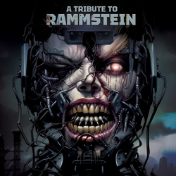 Tribute To Rammstein Various Tribute To Rammstein Various (Colv) (Red) vinyl LP