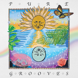 Paul Cherry Pure Grooves 1 vinyl LP