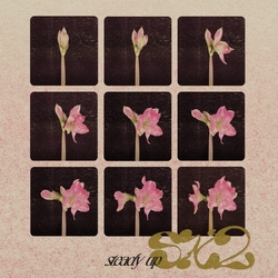 Sx2 Steady Up vinyl 12