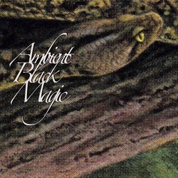 Rainforest Spiritual Enslavement Ambient Black Magic VINYL LP