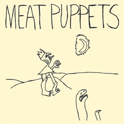 Meat Puppets In A Car vinyl LP
