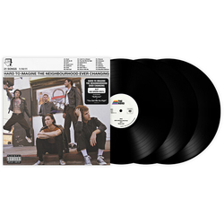Neighbourhood Hard To Imagine The Neighbourhood Ever Changing vinyl LP