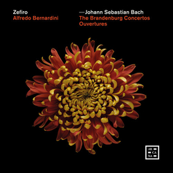 Bach,J.S. Bernardini Brandenburg Concertos - Ouvertures CD