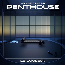 Le Couleur Comme Dans Un Penthouse vinyl LP