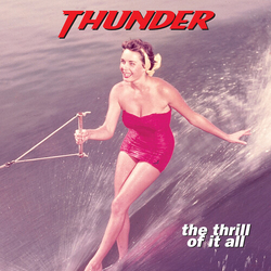 Thunder Thrill Of It All VINYL LP
