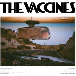 Vaccines Pick-Up Full Of Pink Carnations (Colv) (Pnk) vinyl LP