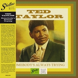 Ted Taylor Somebodys Always Trying (Spa) vinyl LP