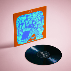 Nick Dunston Skultura VINYL LP