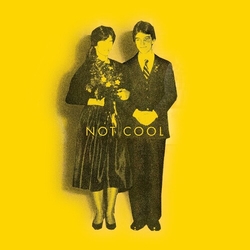 Tim Easton Not Cool vinyl LP
